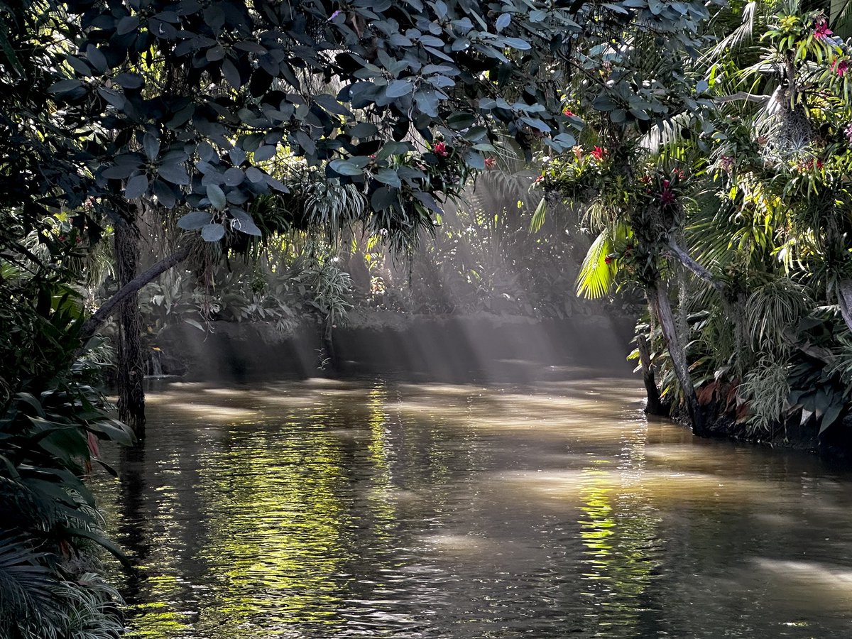 Lovely day for a cruise along the river!