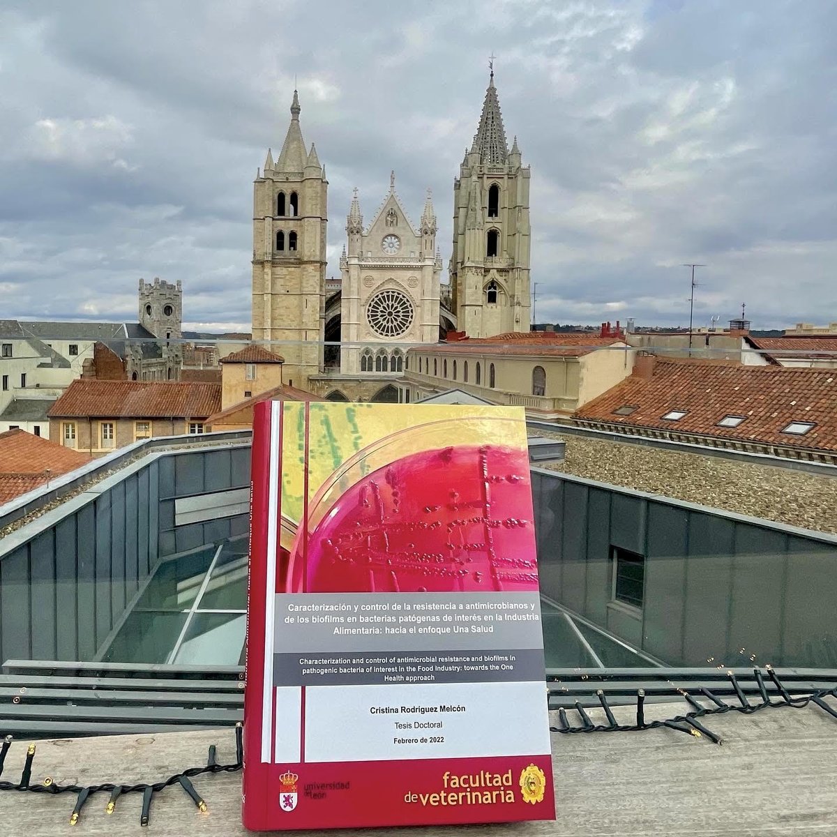 Premiada la Tesis Doctoral sobre Resistencia a los Antibióticos de Cristina Rodríguez Melcón en la Universidad de León publicado en Agronews - agronewscastillayleon.com/premiada-la-te…