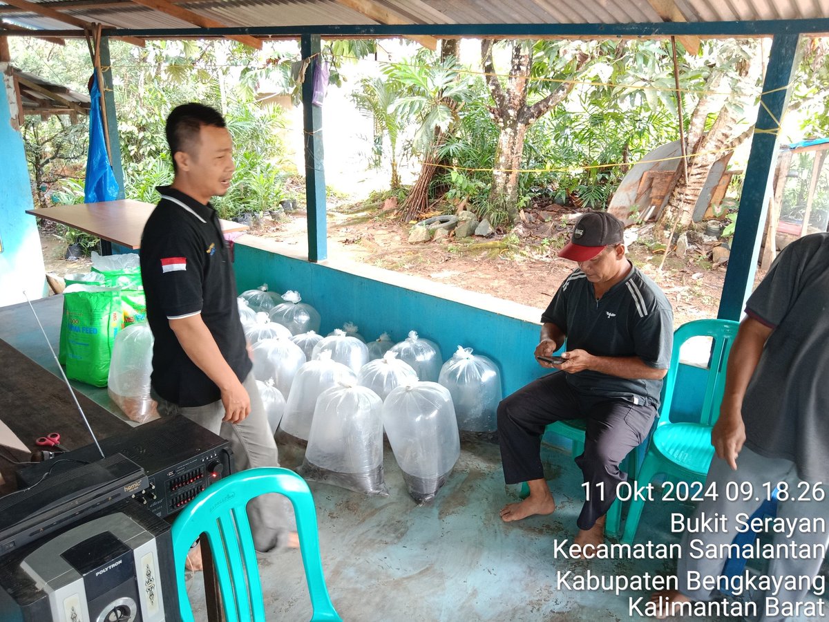 AdenRadianus's tweet photo. Jumat 11 Oktober 2024
Menyampaikan materi CBIB, Penguatan dan Pengembangan Kelembagaan KP di Pokdakan Desa Bukit Serayan Kec. Samalantan yang diadakan oleh Pemerintahan Desa Bukit Serayan. 
#giatluhkansatminkaltegal
#giatluhkanbengkayang
#luhlapor https://t.co/TkuiPffnaf