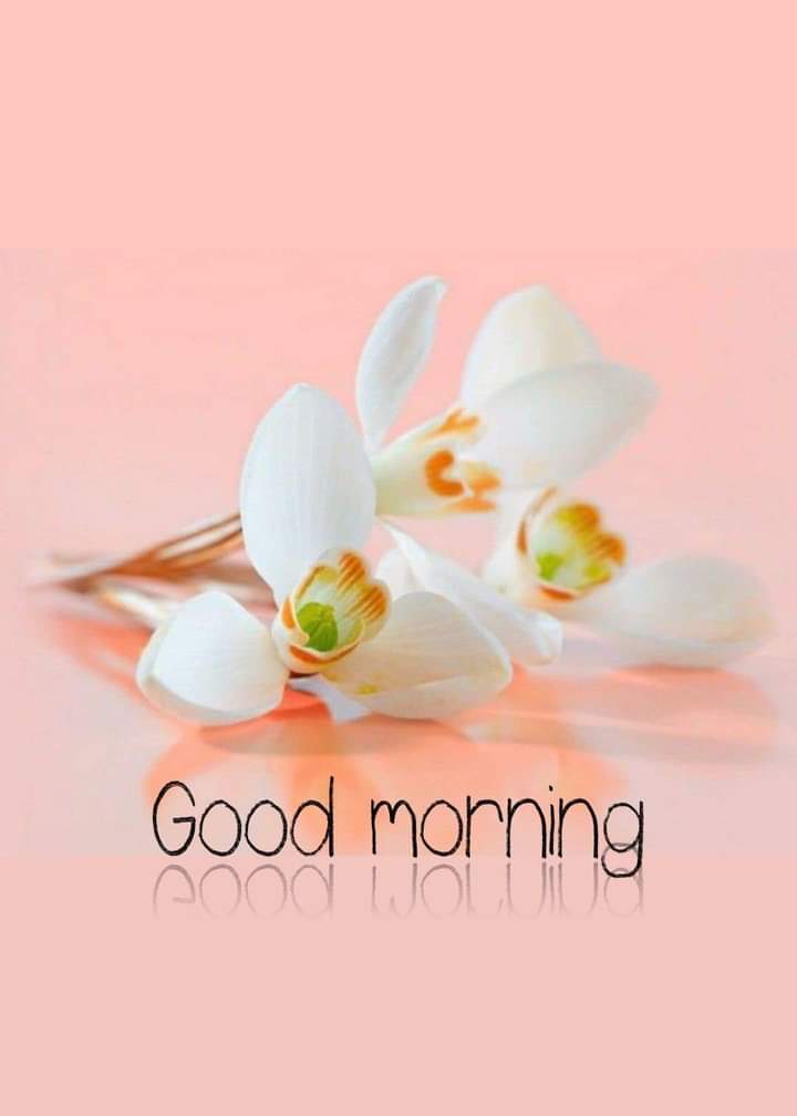 Muhamma82036577's tweet photo. @Sehrish_45 https://t.co/3o8plhQNcr
