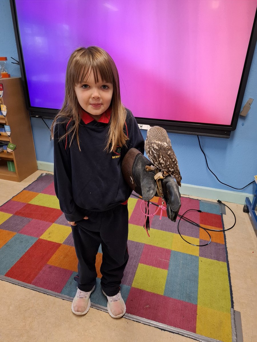 ms_lawson_class's tweet photo. https://t.co/zDNMZjjxPJ