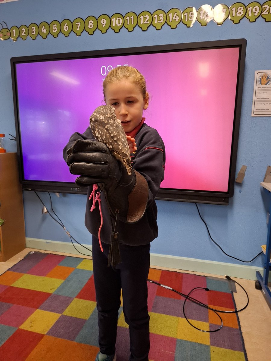 ms_lawson_class's tweet photo. https://t.co/c2toOsoYYV