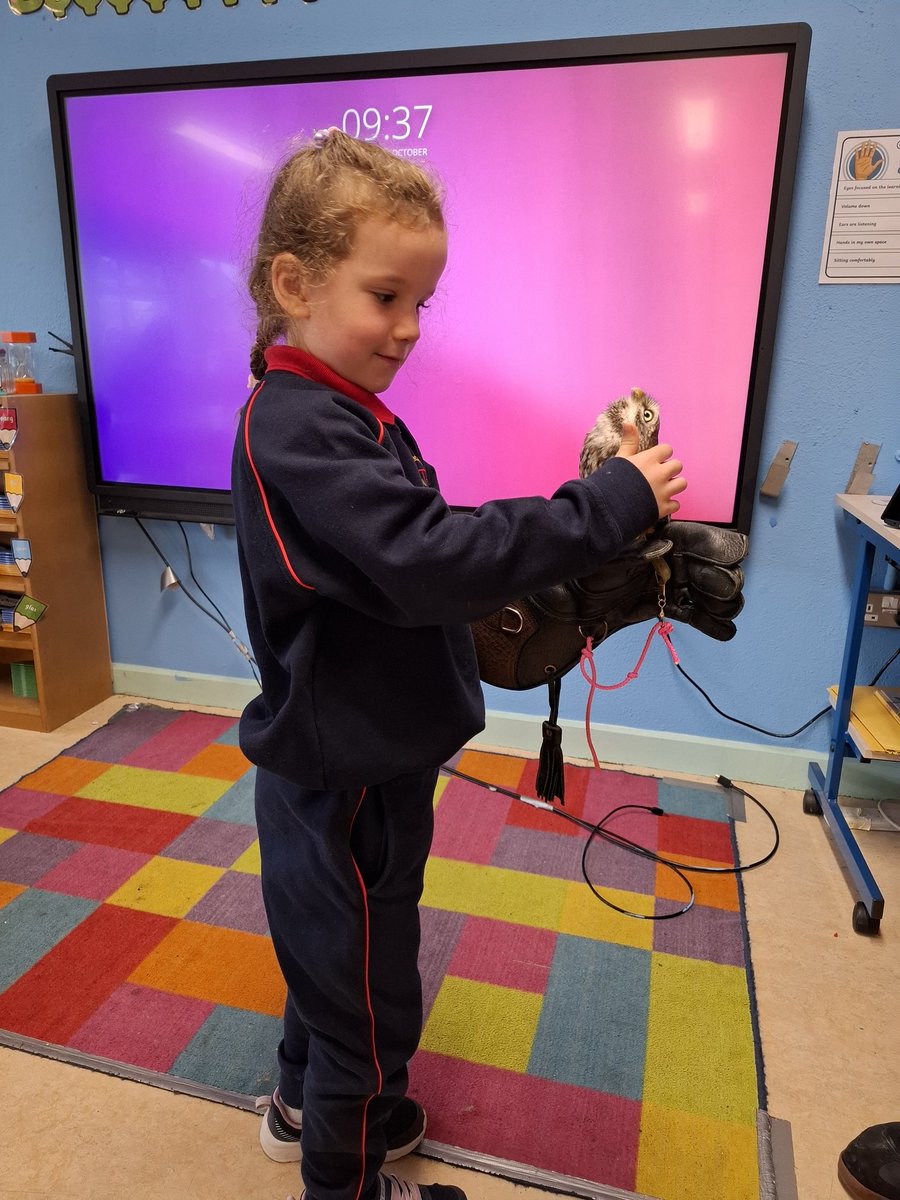 ms_lawson_class's tweet photo. https://t.co/razZ2LLJOi