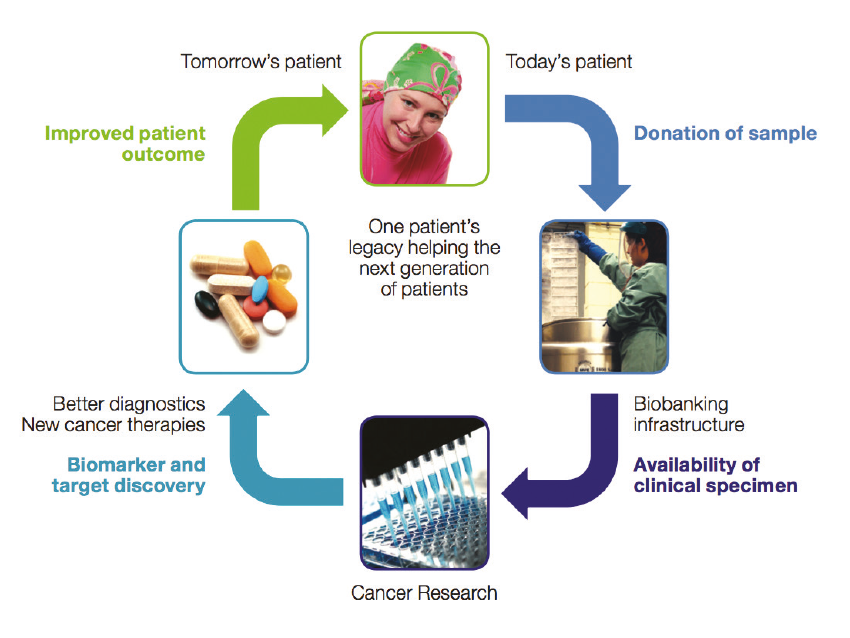 Molecular Breast Pathology Lab (@breast_lab) on Twitter photo The Brisbane Breast Bank EST'05 
~3500 patients  
~4727 frozen tissue samples  
~2379 blood samples 
To help researchers all over the 🗺️ learn more about #breastcancer 
⬆️prevention 
🩺early diagnosis
💊improved treatments 
#UQCCR <a href="/UQ_News/">UQ News</a> <a href="/UQMedicine/">UQ Medicine</a> The Brisbane Breast Bank EST'05 
~3500 patients  
~4727 frozen tissue samples  
~2379 blood samples 
To help researchers all over the 🗺️ learn more about #breastcancer 
⬆️prevention 
🩺early diagnosis
💊improved treatments 
#UQCCR <a href="/UQ_News/">UQ News</a> <a href="/UQMedicine/">UQ Medicine</a>