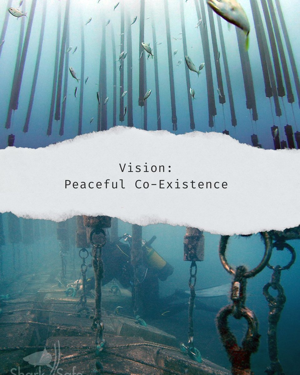 SharkSafe Barrier Pty Ltd tweet media