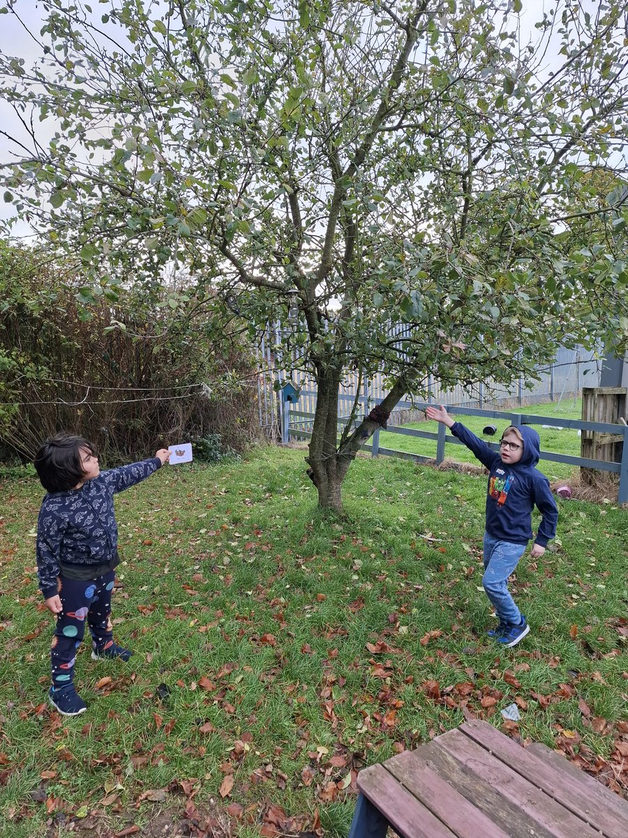ms_lawson_class's tweet photo. Here we are completing maths challenges in the garden #mathsweek2024 https://t.co/6aB2En6FIi