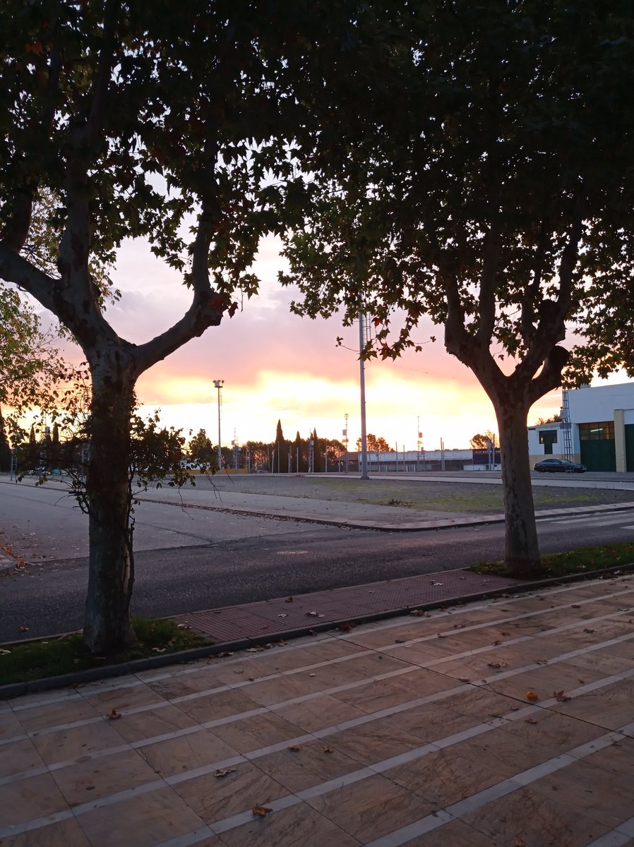 SKAYNETSUR2's tweet image. ¡ COPÓN, QUE BUENA MAÑANA HACE !
#BuenosDiasEspaña