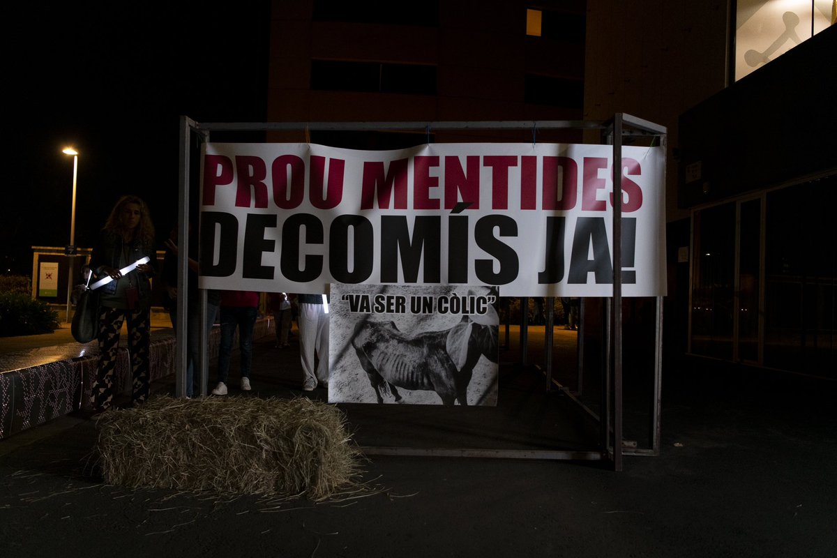 Bel González tweet media