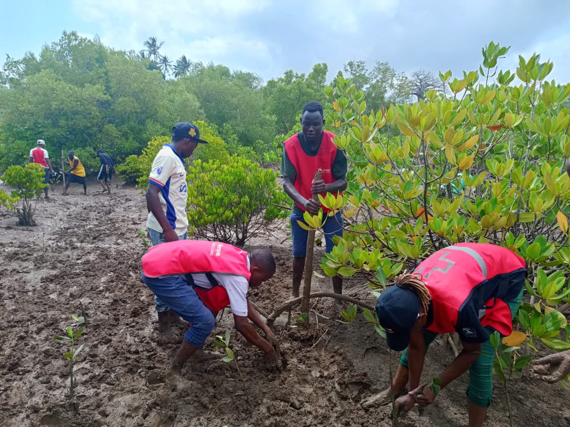 In the spirit of preserving our coastal ecosystems, we planted 6,000 mangrove seedlings over the weekend in Takaungu, Kilifi.

Supported by LEAF Charity, this will be a monthly activity aimed at restoring our coastal ecosystems, protecting coastlines, supporting marine life and