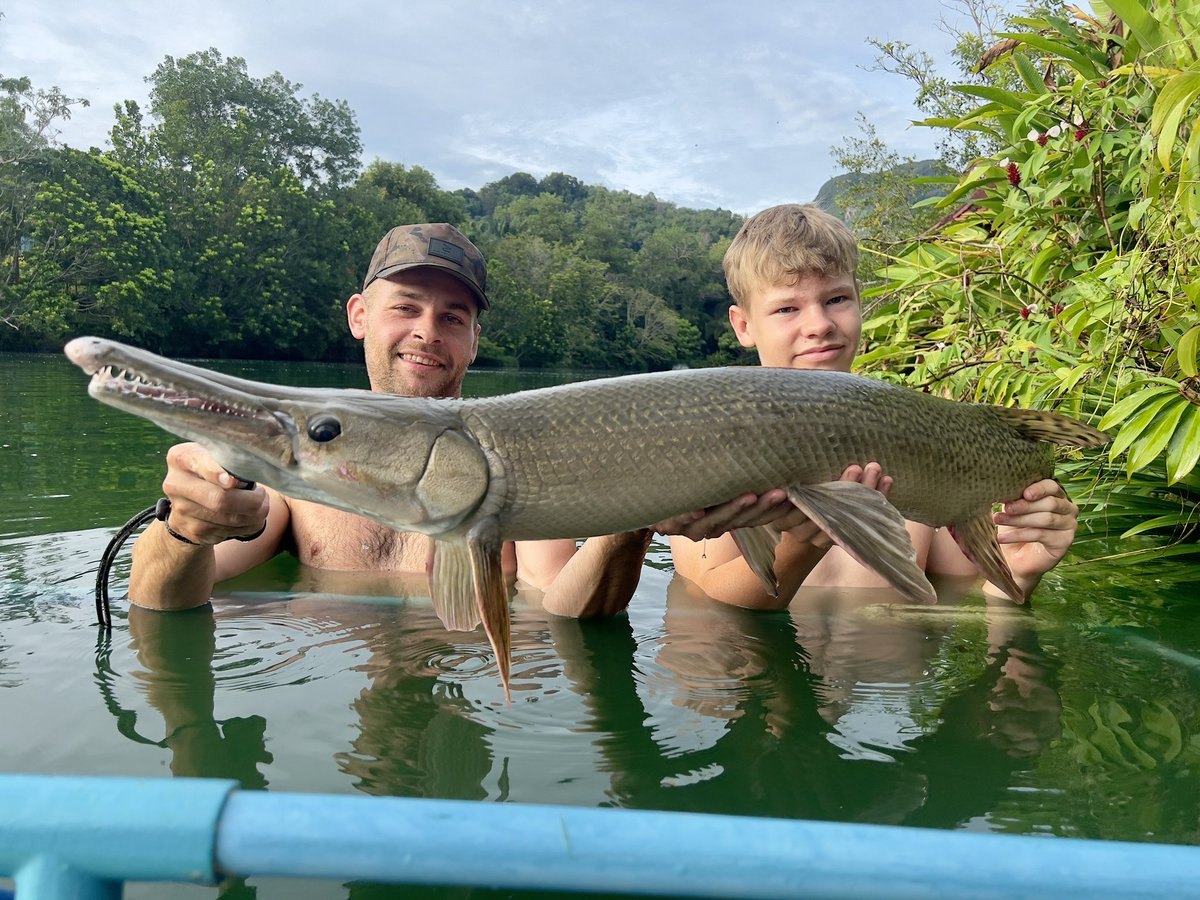 Alligator Gar for Cosmo on our last morning at <a href="/GillhamsFishing/">Gillhams fishing</a> these things really are prehistoric!
#takeyourkidsfishing #makeitfun

#fishing #getfishing #hindersbait #gar #alligatorgar #gillhams #thailand #angler #angling #specieshunting #fishingfamily #fishinglife #fishingkids