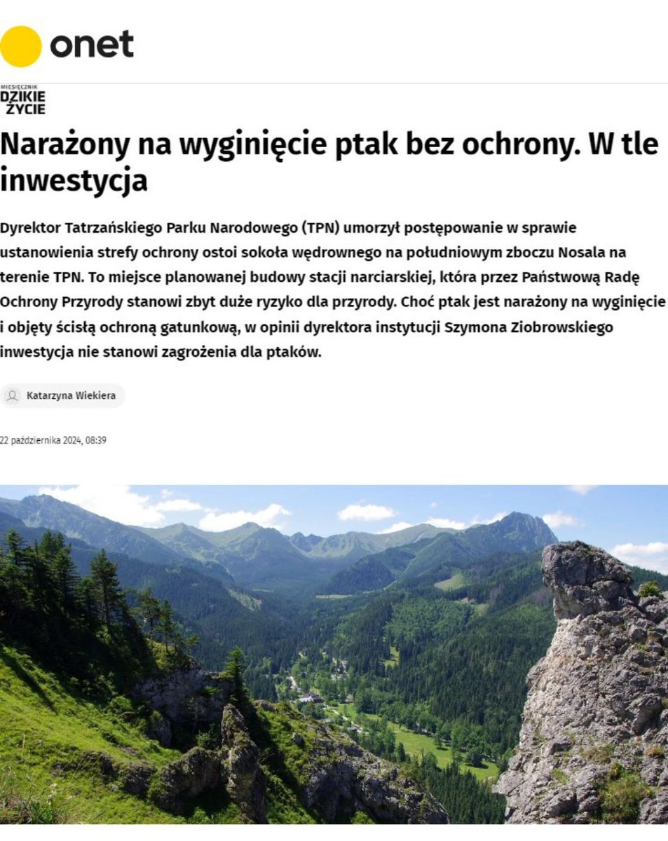 PracowniaBystra's tweet photo. #TatrzańskiParkNarodowy to jedno z niewielu miejsc, w którym żyje narażony na wyginięcie sokół wędrowny. Do tego @Tatrzanski_PN został powołany - by stać na straży najcenniejszej przyrody.
❌Tymczasem dyrekcja planuje narciarski biznes na Nosalu i odmawia powołania ostoi❌#Nosal