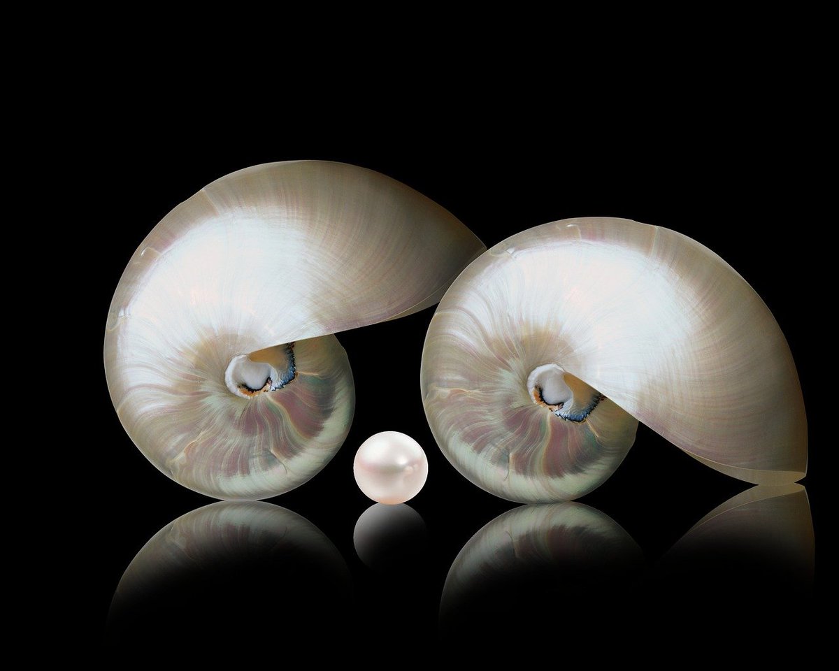 fatima_asf63966's tweet photo. From Small Beginnings, Great Pearls Grow..#LearnAndShine" https://t.co/M03QHyioVz