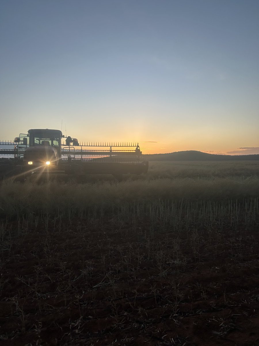 Dan Heagney tweet media