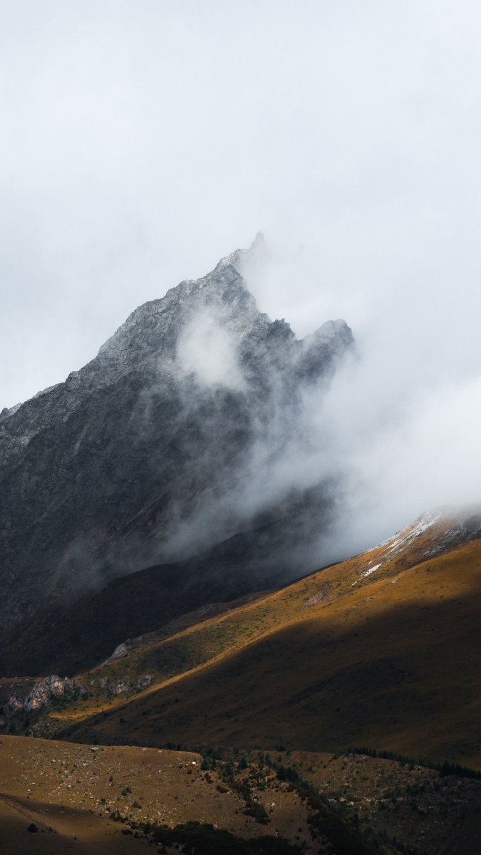 Alex Feal tweet media