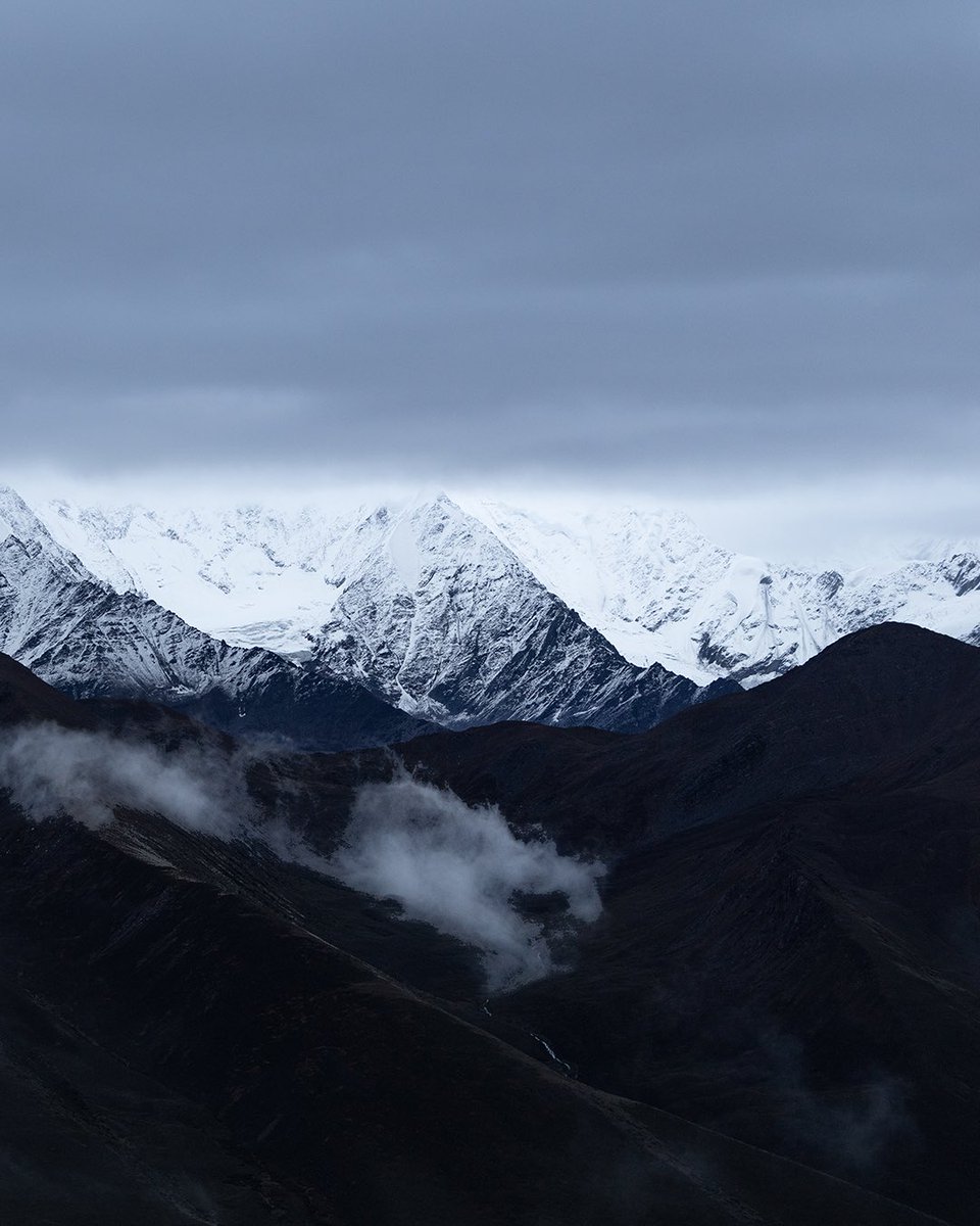 Alex Feal tweet media