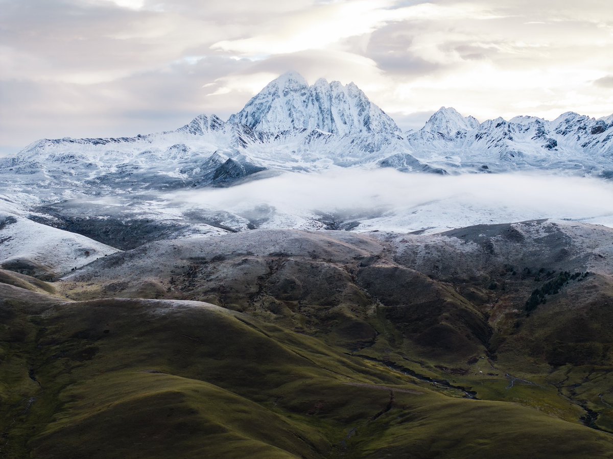 Alex Feal tweet media