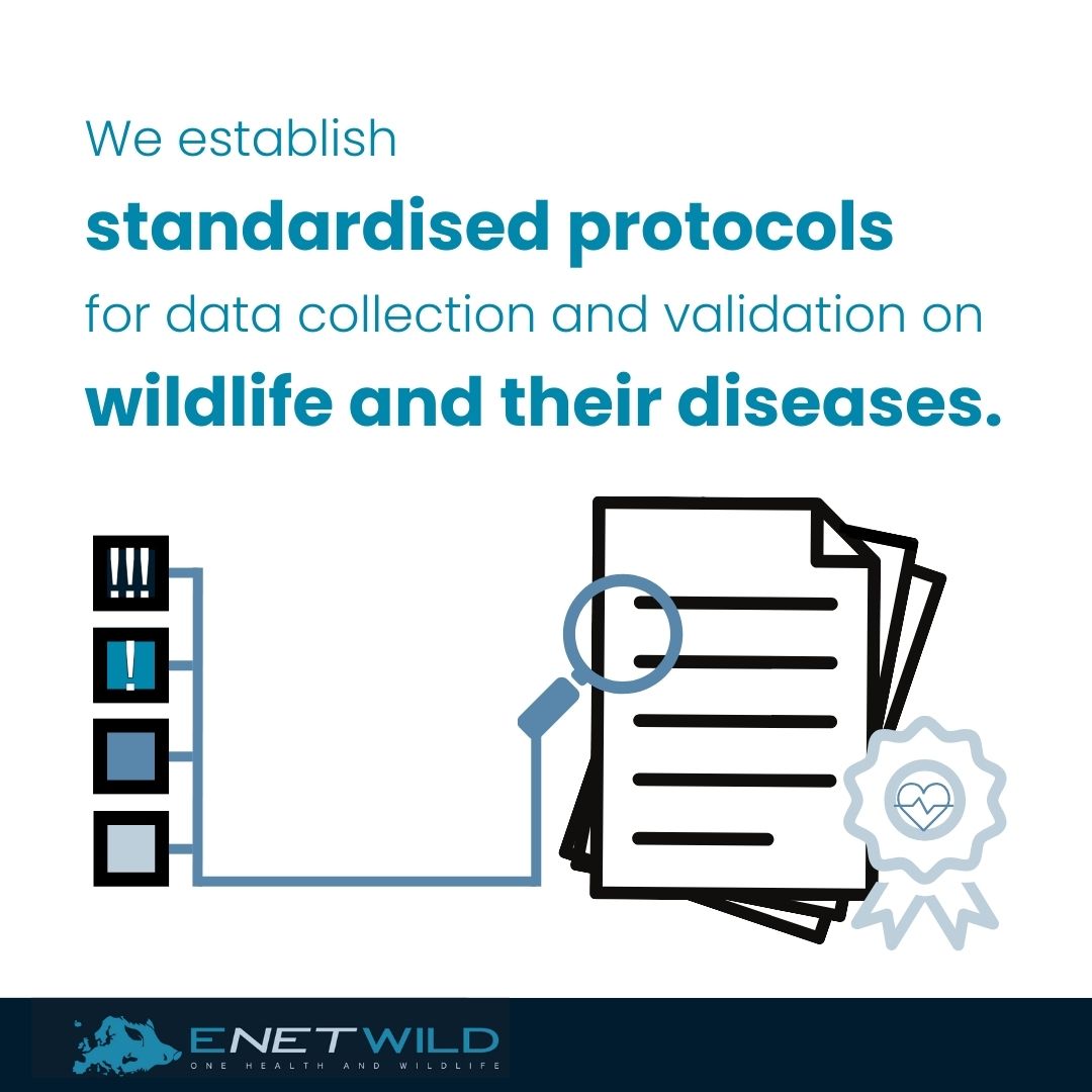 ENETWILD project tweet media