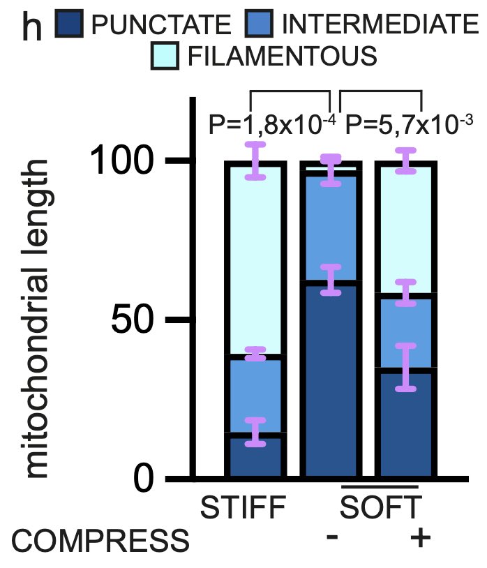 Sirio Dupont tweet media