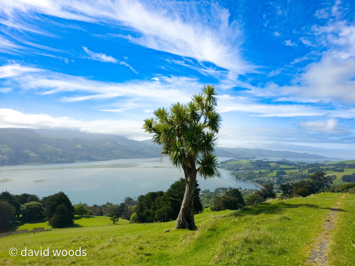 David J Woods FPS FRGS (@pharminfotech) on Twitter photo After two extended periods out of New  Zealand, it's really nice to be home on the #otagopeninsula #dunedin #dunnerstunner After two extended periods out of New  Zealand, it's really nice to be home on the #otagopeninsula #dunedin #dunnerstunner