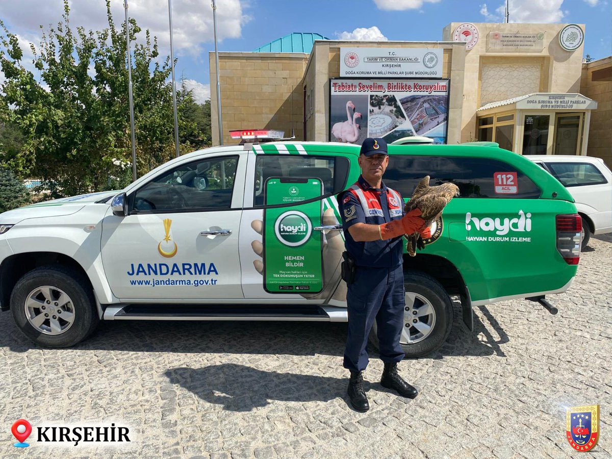 ✔️Ardahan’da arazide yaralı halde bulunan Kızıl Şahin, 

✔️Hakkari’de icra edilen devriye faaliyeti esnasında arazide yaralı olarak bulunan Doğan yavrusu,

✔️Kars’ta icra edilen önleyici kolluk devriyesi esnasında yaralı halde bulunan Vaşak,  

✔️Kırşehir’de icra edilen devriye
