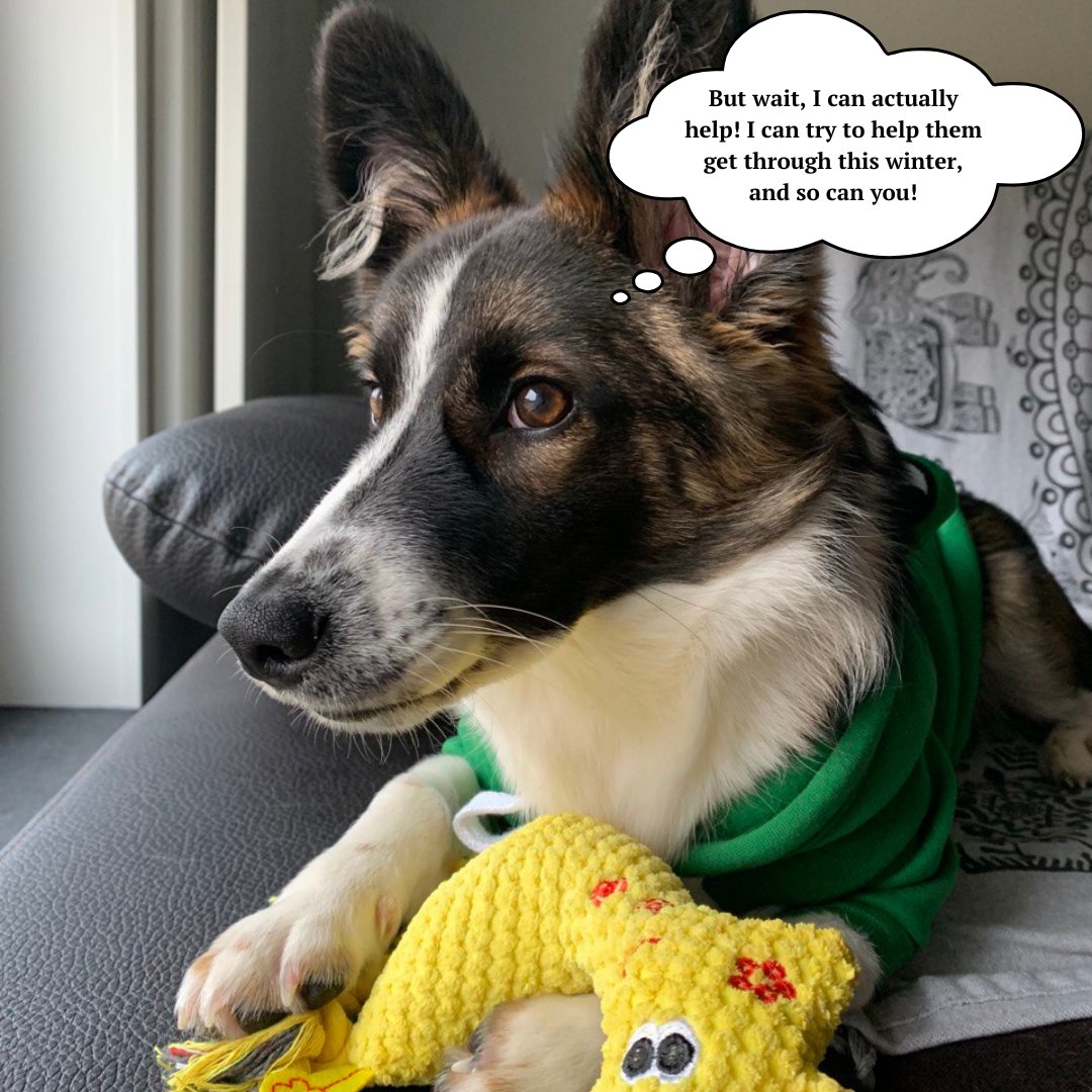 Everybody and everypawdy, hi!  In memory of my father, who loved animals (I got it from him) and whose heart stopped 10 days ago 💔, I decided to help Ukrainian volunteers prepare animal shelters for the cold season. They need everything from boiler equipment to food for 🐶🐱.