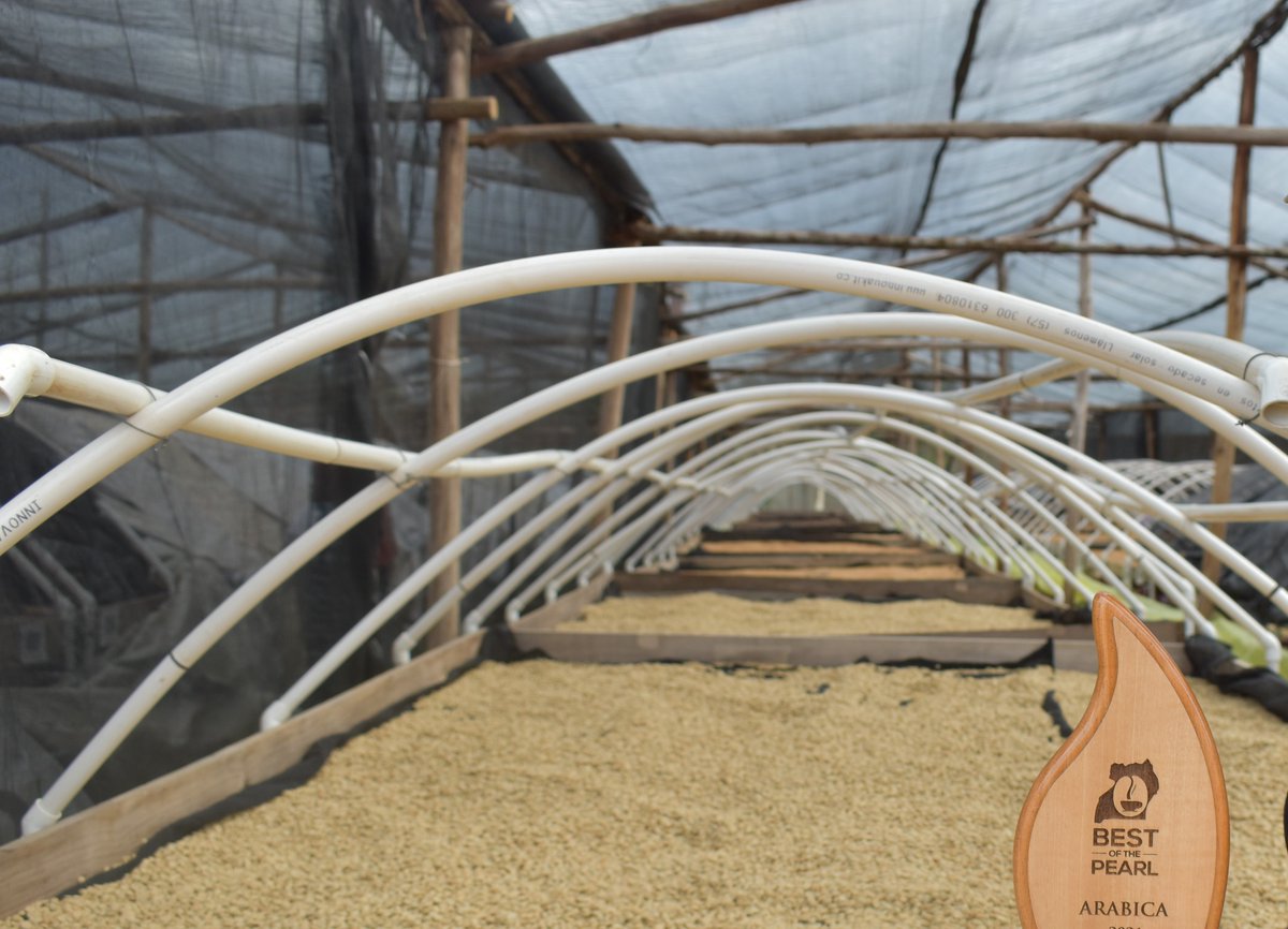 UgandaCoffee_'s tweet photo. COFFEE PRICES: Today's farmgate prices
Kiboko 6,000-7,000
FAQ 12,200-13,000
Arabica Parchment 12,000-12,500
Drugar 11,500-12,000
Coffee is one of the most valuable agricultural commodities. To earn big, follow UCDA's recommended practices from #farm2cup. https://t.co/4PlGqlsaNX