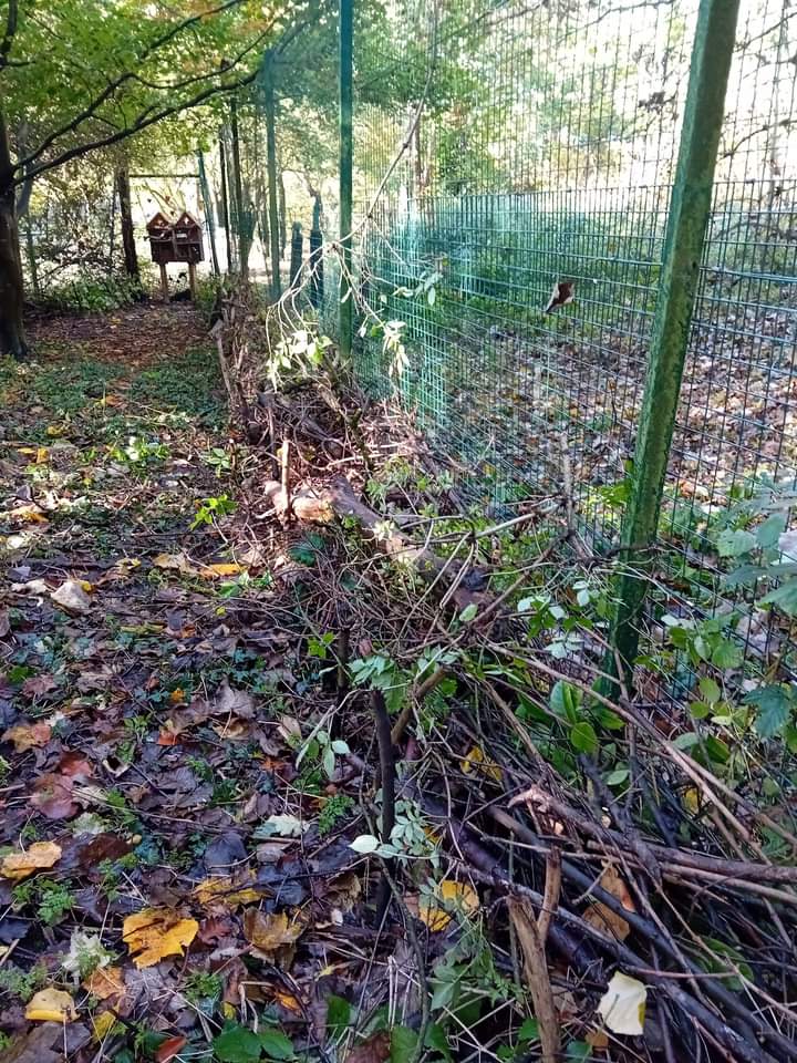 A Community Payback team suffered the rain on Sunday to help tidy the woodland area &amp; build up the deadwood hedging.  They remained cheerful to the end!  Thank you so much!  Always appreciate the work they do.  Without them we would really struggle to maintain the trail. 💚