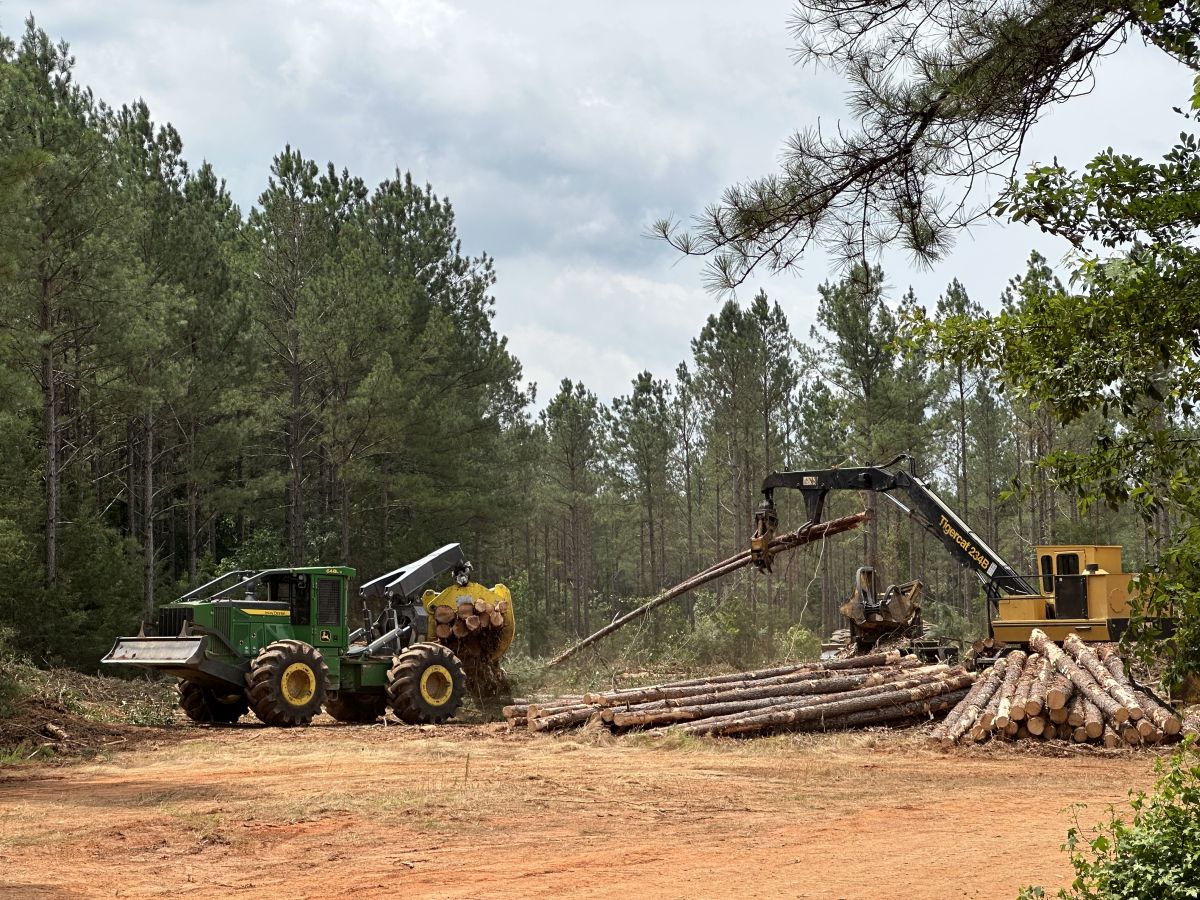 International Journal of Forest Engineering tweet media