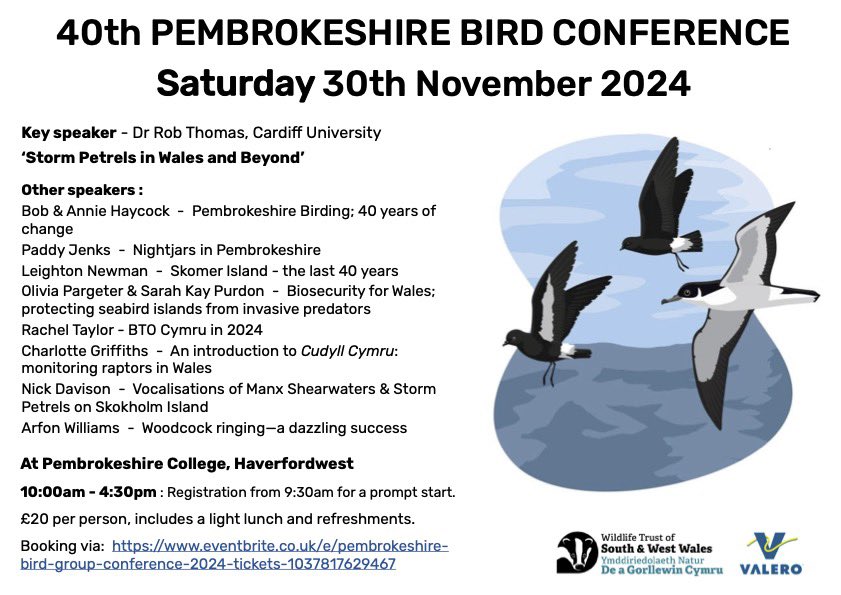 📣 Pembroke Bird Conference! Another brilliant line-up of speakers on Nov 30th at Pembrokeshire College, Haverfordwest.

Cynhadledd Adar Sir Benfro! Siaradwyr gwych ar Dachwedd 30 yng Ngholeg Sir Benfro, Hwlffordd

pembsbirds.blogspot.com/2024/10/pembro…