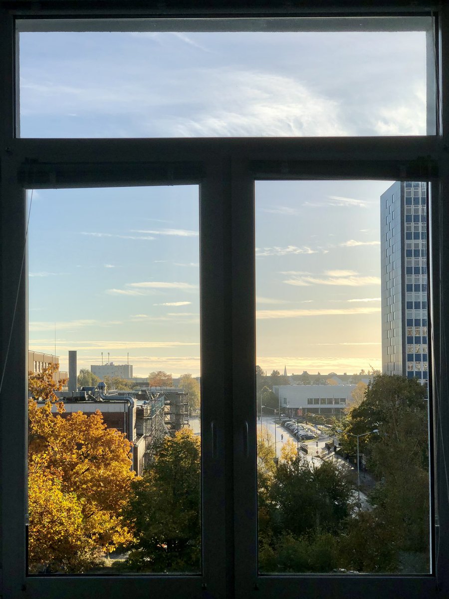 FelixEckel's tweet photo. Autumn office view @kieluni https://t.co/1yoCSoox3d