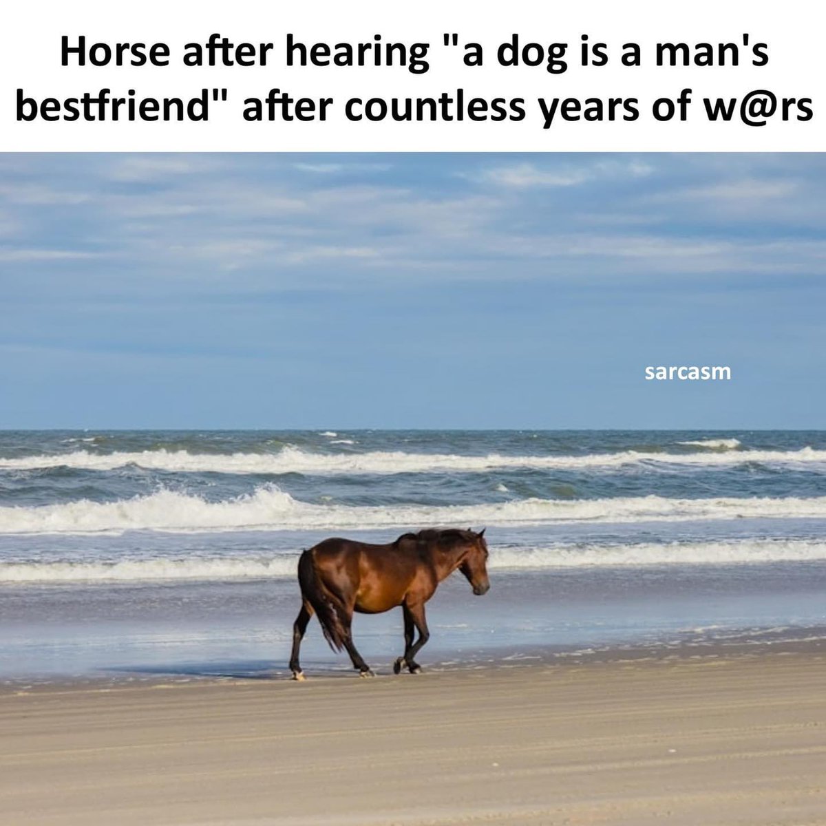 mememastii's tweet photo. #meme #memes #funny #memesdaily #dankmemes #funnymemes #lol #humor #memepage #dank #love #follow #like #comedy #instagram #dankmeme #anime #dailymemes #memestagram #tiktok #viral #lmao #shitpost #edgymemes #funnymeme #fun #offensivememes https://t.co/hVwi01ThWA