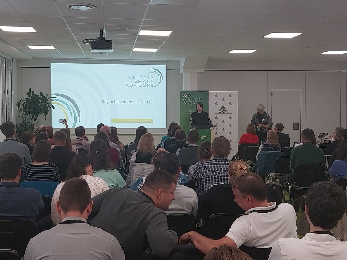 Benoît Rouillé tweet media