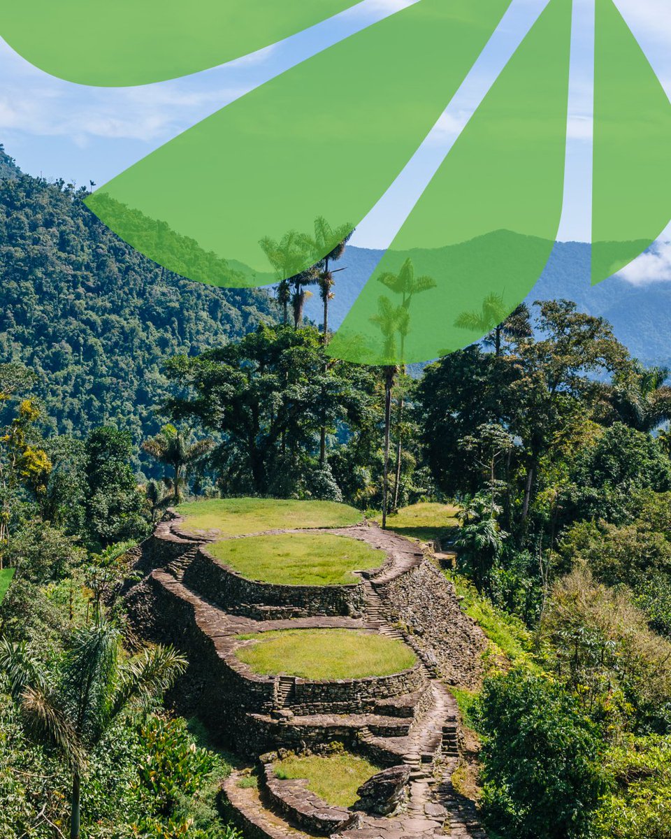 HuaweiSpain's tweet image. Conoce nuestro proyecto: Guardianes de la selva 🌱

Gracias a #Tech4Nature protegemos la Biodiversidad de Colombia gracias a la tecnología:

✅ El monitoreo de audio, la nube y la inteligencia artificial están protegiendo el ecosistema de selva tropical en peligro de extinción en…