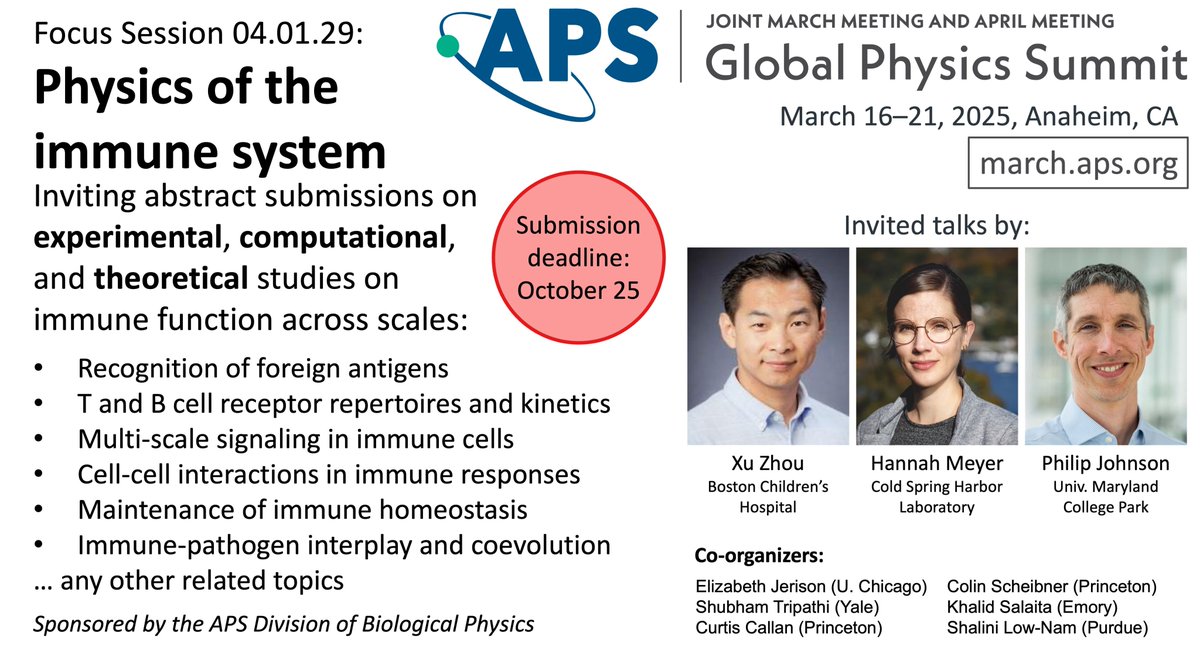 We will once again have a <a href="/ApsDbio/">APS Division of Biological Physics</a> focus session on Physics of the Immune System at the upcoming <a href="/APSphysics/">American Physical Society</a> March Meeting #APSSummit25. Submit your abstracts on experimental, computational, theoretical approaches to understand immune dynamics. Great invited speakers lineup!