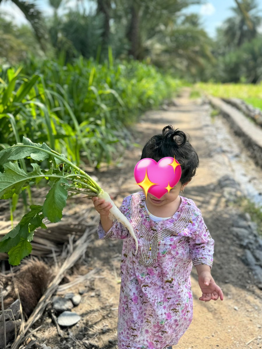 حصاد صغير🌿✨