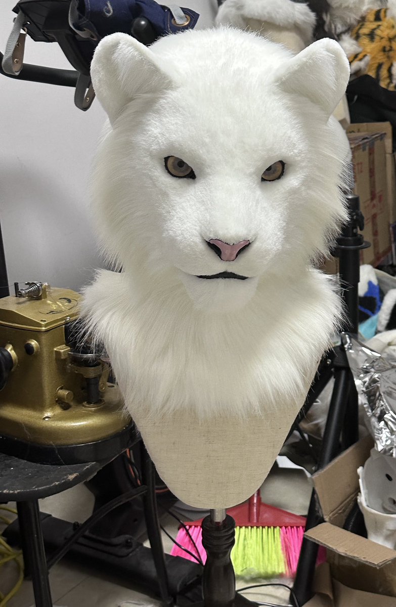 Big cat.
#furry #fursuit  #furrycommision #fursuiter #fursuitmaker #tiger #太阁工作室