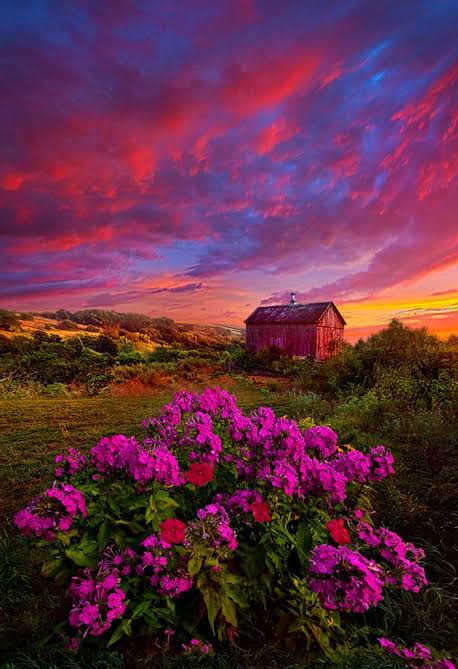 myflowersplace's tweet photo. #flowers
#beutifull
🌸🌼🌸🌼 https://t.co/pyhyzolCOy
