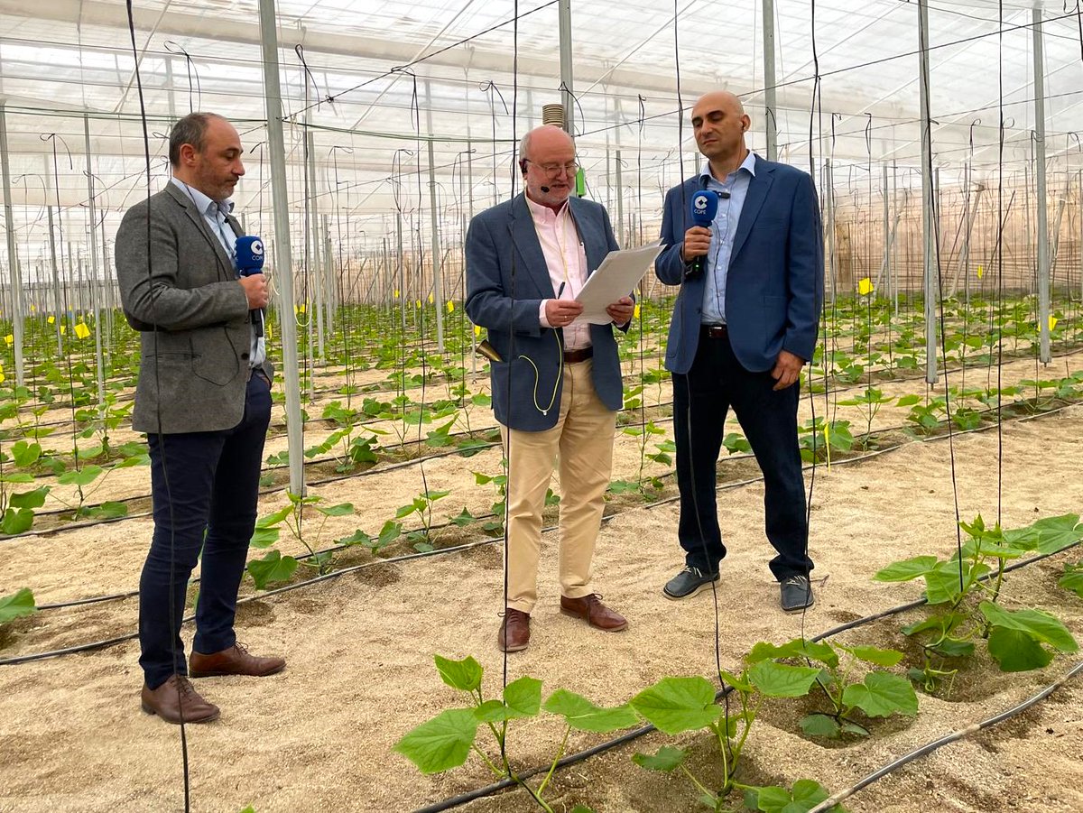 Lallemand_PCare's tweet photo. 📻 Lallemand Plant Care and @massoagro joined @agropopular on @COPE to talk about #beneficial #microorganisms in #agriculture 🌱 & introduce our latest #bioinsecticide Lalguard M52 OD!
🎙️🌿 Listen to the podcast: https://t.co/zm9YU4Rve5
#Bioinsecticides #SustainableAgriculture https://t.co/TudngiEtOR