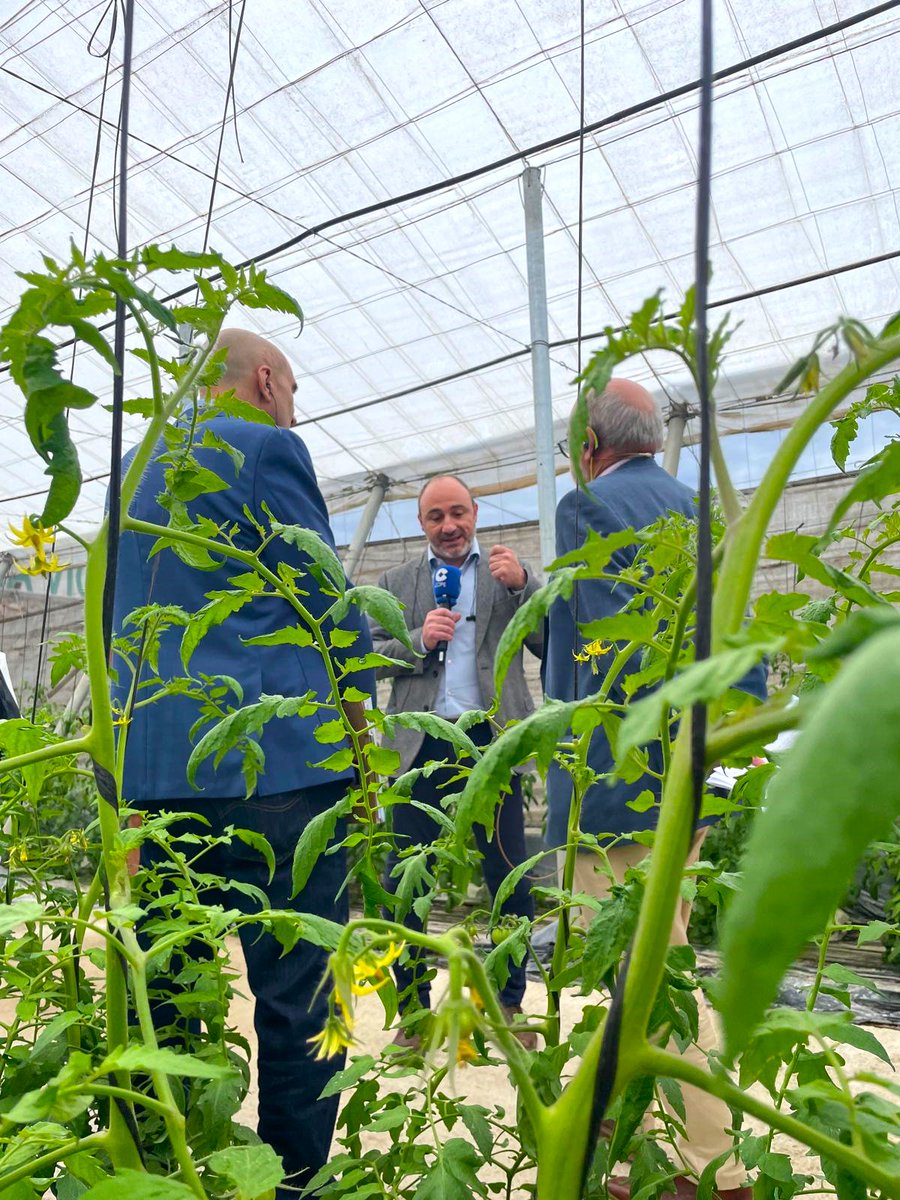 Lallemand_PCare's tweet photo. 📻 Lallemand Plant Care and @massoagro joined @agropopular on @COPE to talk about #beneficial #microorganisms in #agriculture 🌱 & introduce our latest #bioinsecticide Lalguard M52 OD!
🎙️🌿 Listen to the podcast: https://t.co/zm9YU4Rve5
#Bioinsecticides #SustainableAgriculture https://t.co/TudngiEtOR