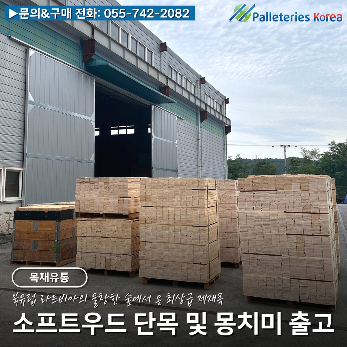dyglobalkr's tweet photo. [Palleteries korea] 최상급 건조목 목재유통 소프트우드 커스텀 단목 및 몽치미 출고

https://t.co/UITpZXmG8s

#싱크로유 #살롱드립 #언니안녕 #서스펜디스 #감자최고 #유닛포카 #과시욕독서 #포장자재 #수출포장 #korea https://t.co/2WafzsqrHU