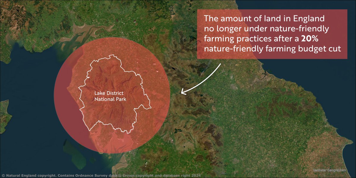 RSPB (@natures_voice) on Twitter photo What’s at stake for nature in the Autumn Budget?
As <a href="/RachelReevesMP/">Rachel Reeves</a> pores over the numbers, here’s what a 20% cut to nature-friendly farming would mean...
For a start—an area 3x the size of the Lake District National Park stripped of nature-friendly practices in England. 👇 What’s at stake for nature in the Autumn Budget?
As <a href="/RachelReevesMP/">Rachel Reeves</a> pores over the numbers, here’s what a 20% cut to nature-friendly farming would mean...
For a start—an area 3x the size of the Lake District National Park stripped of nature-friendly practices in England. 👇