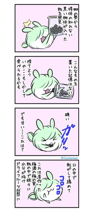 1639日目 瓶の中の謎の黒い物体 