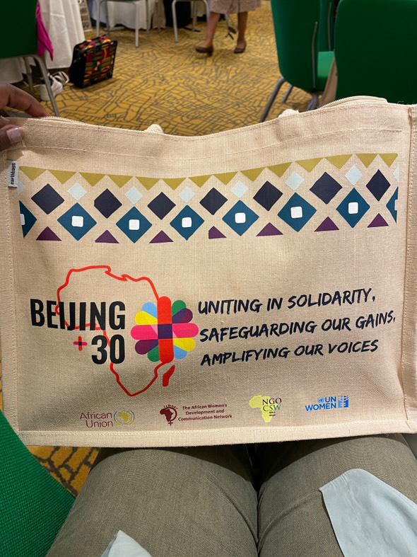 We are happy to co-convene the Beijing+30 East African Regional consultation together with <a href="/amwaafrika/">Akina Mama wa Afrika</a>  and <a href="/FemnetProg/">FEMNET</a>.

Ahead of the Experts consultation meeting, This one day consultation is a reflection of the bold and audacious work by Afro Feminists to ensure complete