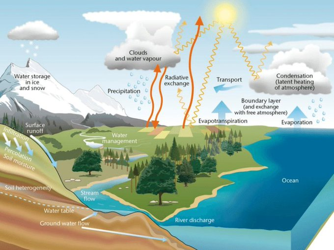 TNIAMProject's tweet image. The water cycle is the vital link that sustains all life. Without water conservation, life is unimaginable! 
Let's protect this precious resource
#WaterCycle
#WaterConservation 
#Nature 
Environmental Specialist