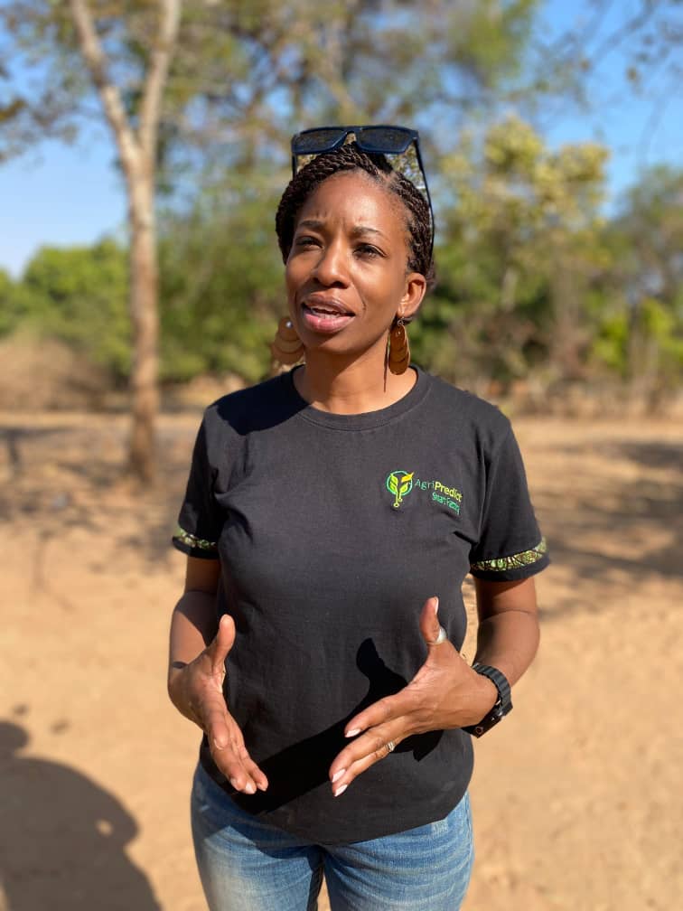 AgriPredict tweet media