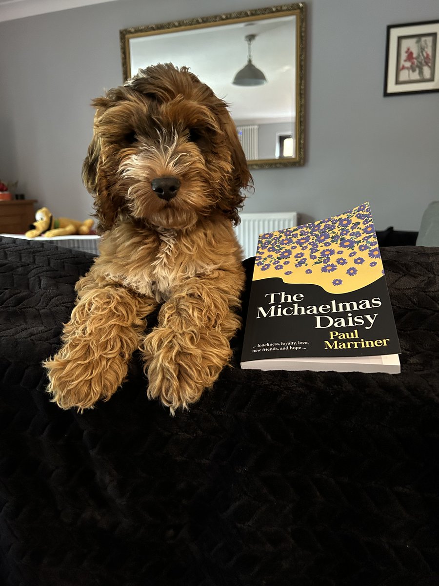 Shameless exploitation of our handsome new family member, I know, but remember, The Michaelmas Daisy launches on 3rd November.