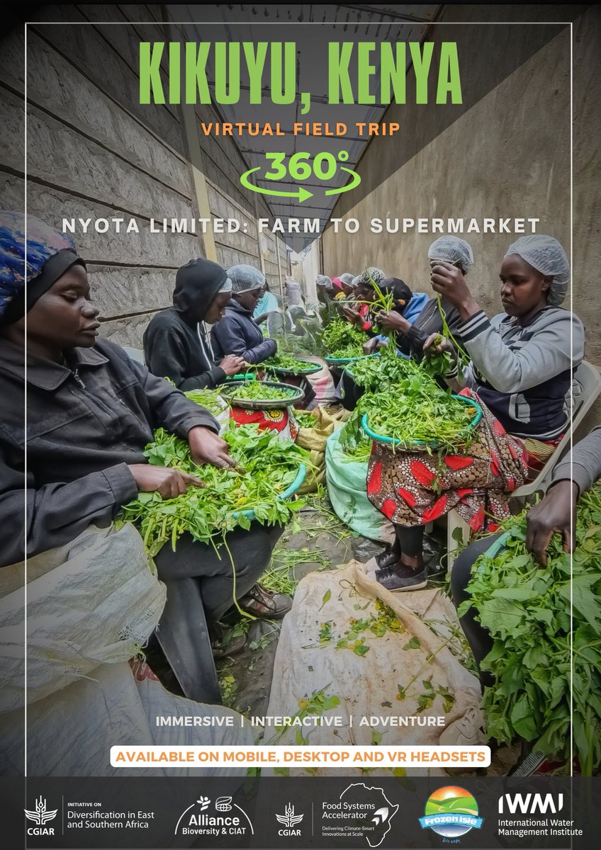 🚜Join our #UUInitiative Virtual Field Trip in Kenya to see how Nyota Ltd engages 500 smallholder farmers to produce nutritious, organic food. 
🎥 on.cgiar.org/4dYSQFl

#Farm2Market