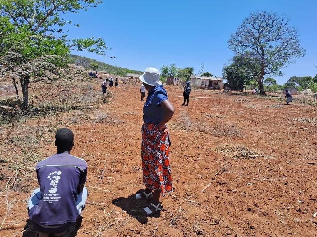 PigadZimbabwe's tweet photo. In Hwedza, lead farmers are diligently preparing their land for demonstration plots, embracing one of the Pfumvudza 4 principles of minimal soil disturbance. We are cultivating sustainable agricultural practices that enhance productivity and protect our precious soil. #Pfumvudza https://t.co/wPWz42hCAt