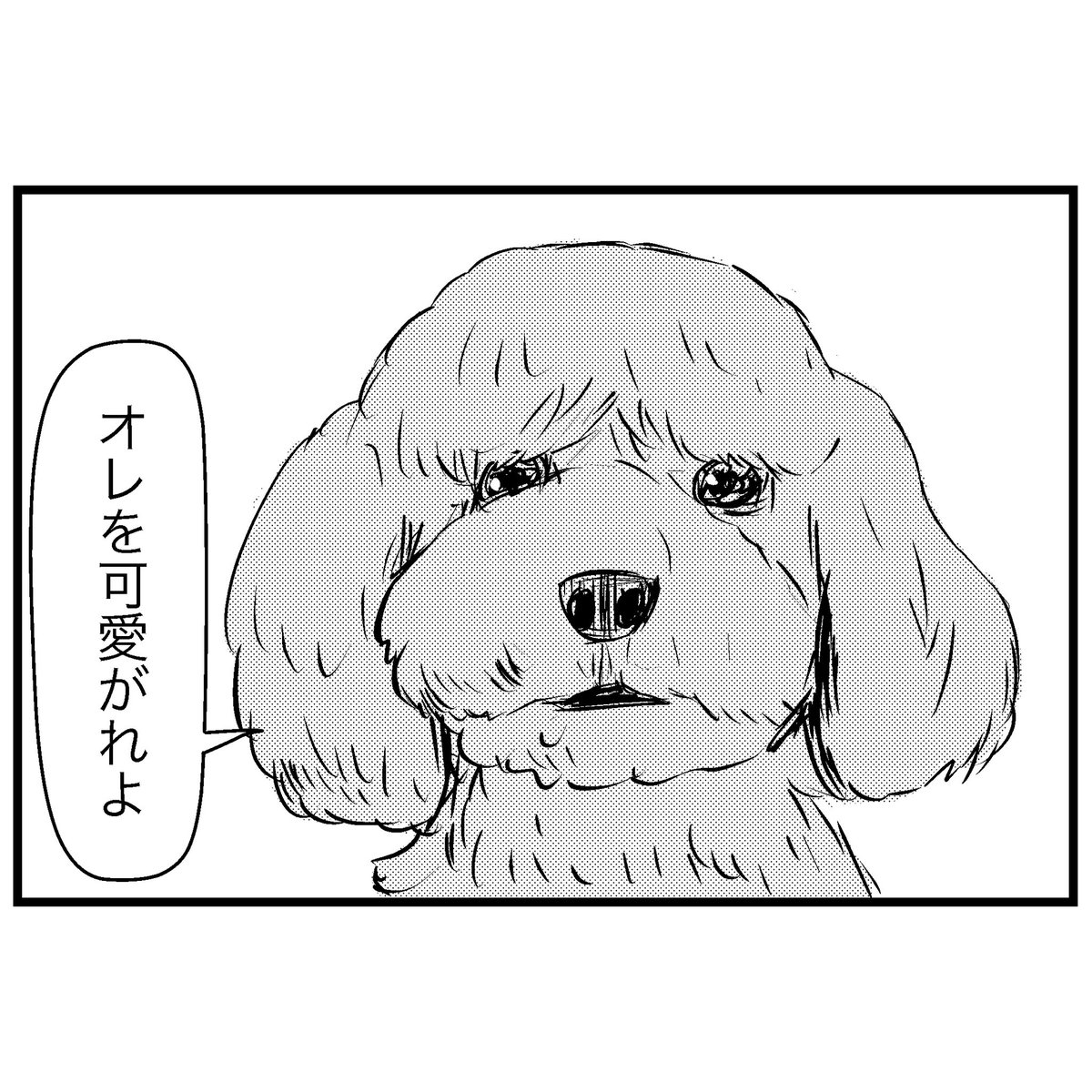 金持ちの犬の飼い方 