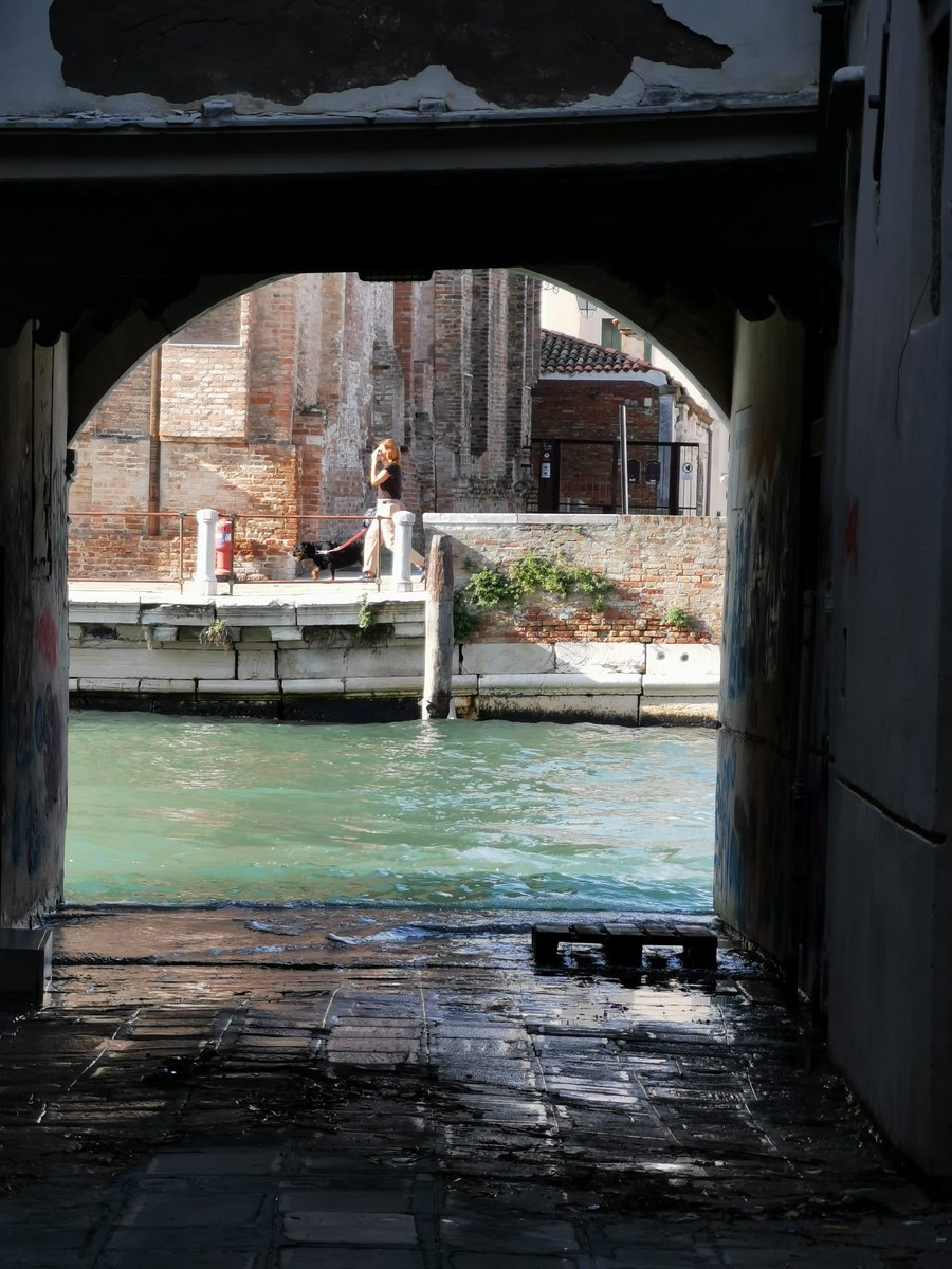 KatySnchez's tweet photo. Muchas viviendas tienen embarcaderos propios o salidas a los canales #canales #Venecia #embarcaderos #hacerfotos #turismo https://t.co/jOCorxJcNk
